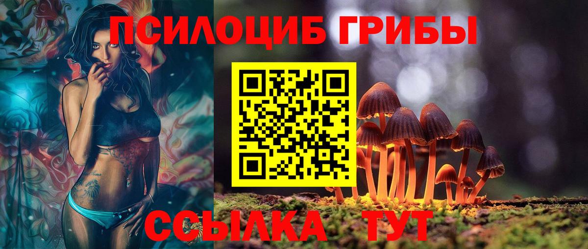 Псилоцибиновые грибы Cubensis Шарыпово